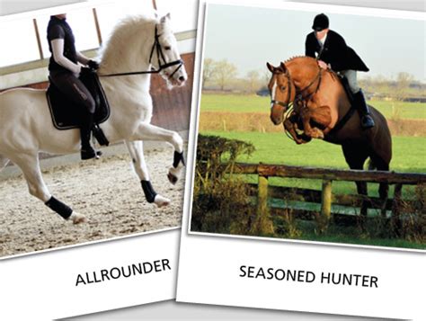 horsequest uk|horses for sale horsequest.